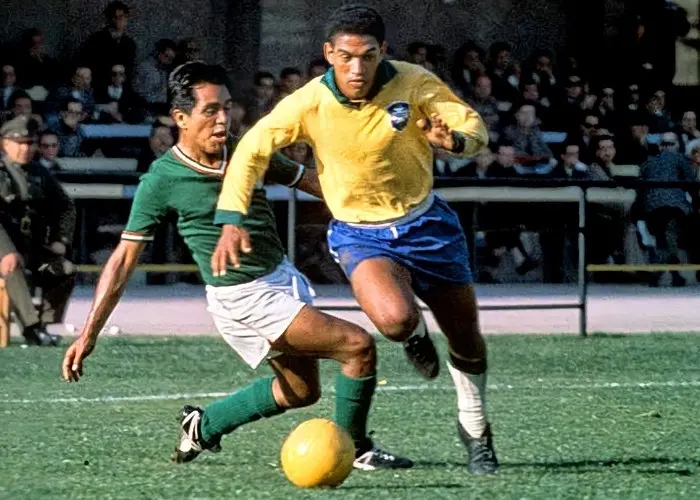 Garrincha