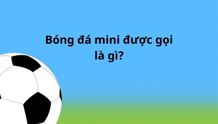 Bóng đá mini được gọi là gì?